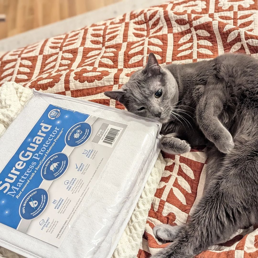 twin xl mattress pad protector